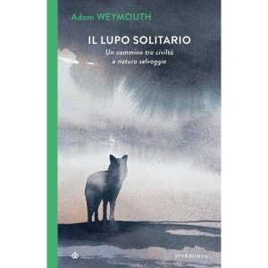 Il lupo solitario di Adam Weymouth