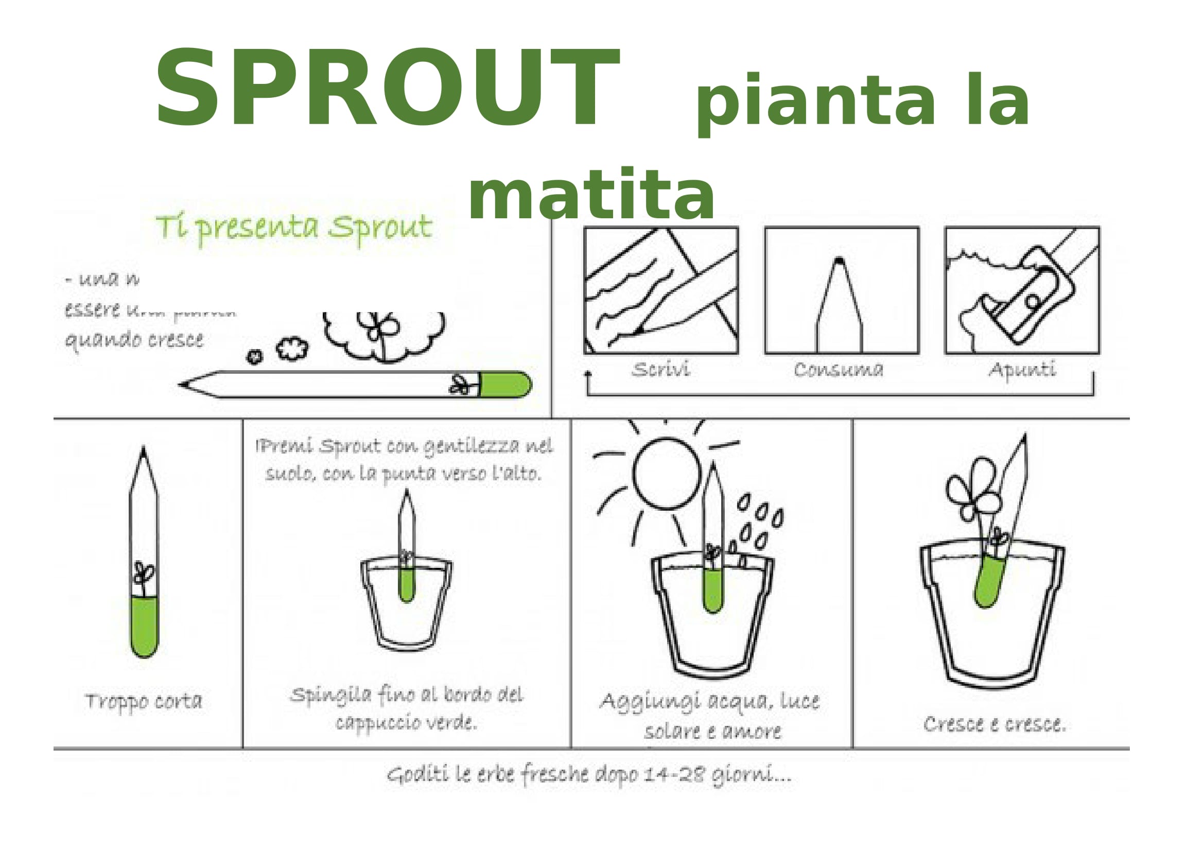 8 Bomboniere con matita piantabile Sprout - Battesimo – EMISFERO Shop